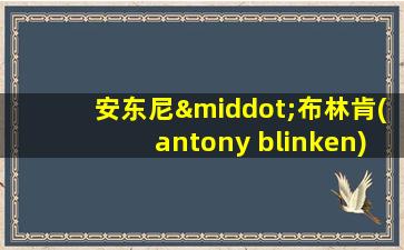 安东尼·布林肯(antony blinken)。